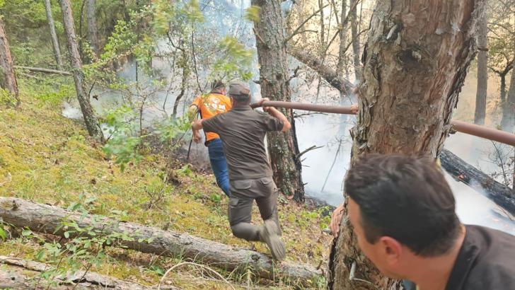 Karabük'te orman yangını (2)