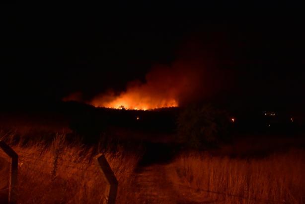 İzmir’de orman yangını (2)