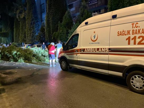 Seyir halindeyken üzerine ağaç dalları düşen motosikletli yaralandı