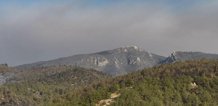 Sakarya Geyve’deki orman yangını 4’üncü günde kısmen kontrol altında