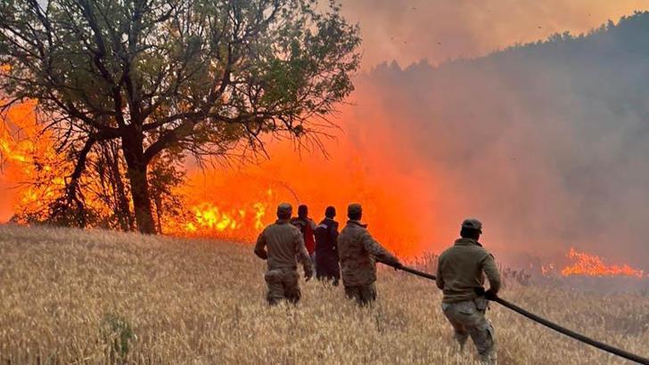 61 orman yangıyla ilgili 4 kişi tutuklandı