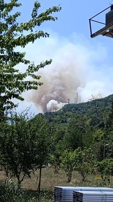 Sakarya Geyve’de yeni orman yangını (2)