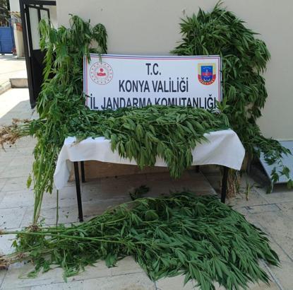 Konya'da uyuşturucu operasyonu: 7 gözaltı