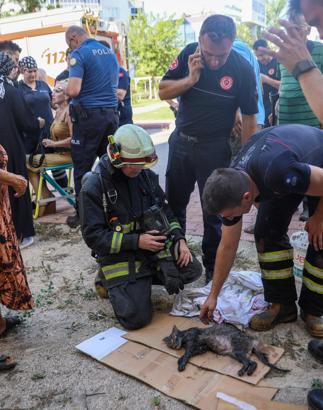 Yanan evini görünce bayıldı, dumandan etkilenen kedisine itfaiye eri oksijen verdi