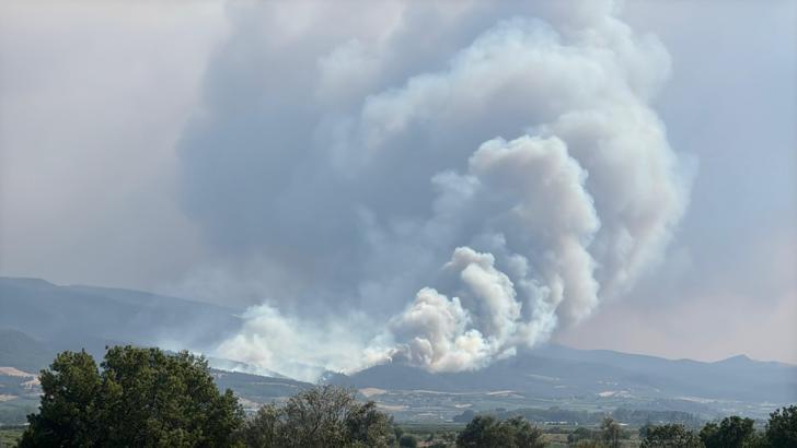 Sakarya Geyve'de yeni orman yangını (5)