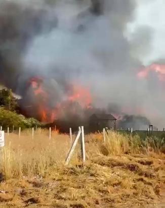 İzmir’de tarım arazisindeki yangında 8 ev zarar gördü
