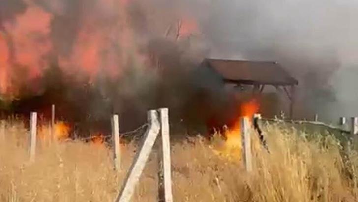 İzmir’de tarım arazisindeki yangında 8 ev zarar gördü