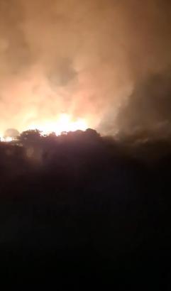 İzmir Dikili'deki maki yangını 8 saatte kontrol altına alındı