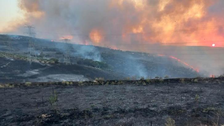 Bandırma'da zeytinliklere sıçrayan yangın kontrol altında