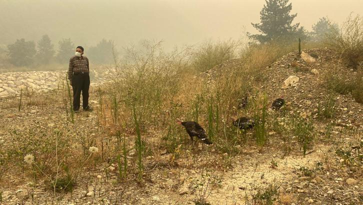 Karabük'teki orman yangınlarına müdahale sürüyor