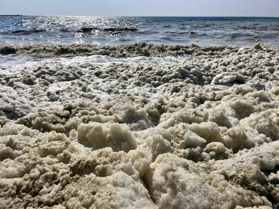 İskenderun Körfezi'nde köpüklenme: Fitoplankton patlaması yaşanıyor, müsilajla karıştırılmamalı