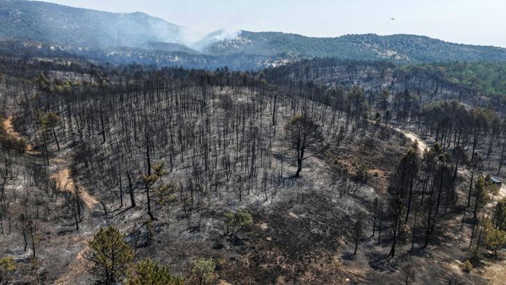 Eskişehir'de çıkan orman yangını, 3'üncü günde Afyonkarahisar'da sürüyor (2)
