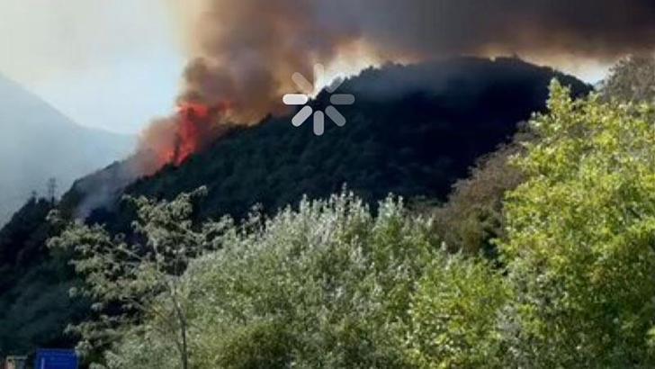 Meclis üyesine yangın paylaşımı nedeniyle gözaltı