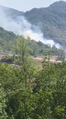 Bartın'da orman yangını büyümeden söndürüldü