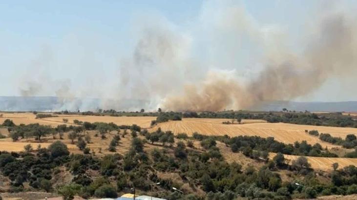 Edirne’de anız yangını