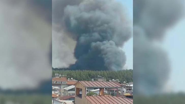 İzmir’de orman yangını kontrol altında