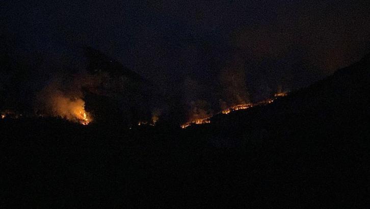 Karabük’te orman yangınlarına müdahale sürdürülüyor; 14 köyden 1006 kişi tahliye edildi (2)- Yeniden