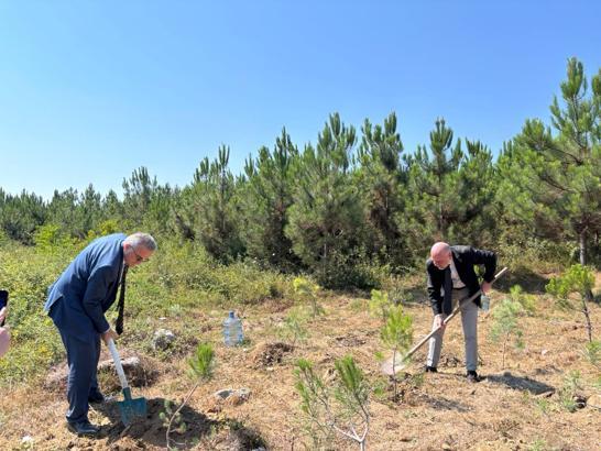 Altınbaş Üniversitesi'nden orman şehitleri için 10 fidan