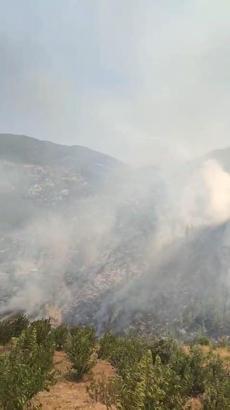 Antalya'da 3 yangın kontrol altında, 1'ine müdahale sürüyor (4)