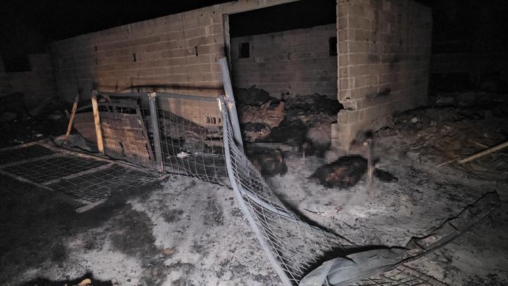 Ahırda çıkan yangın, 2 ev ve depoya sıçradı; 80 küçükbaş öldü