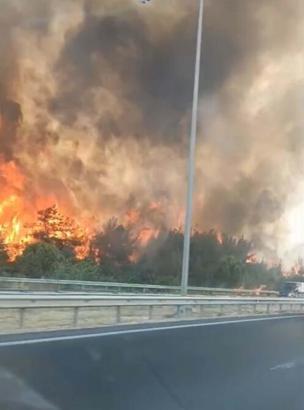 İzmir’de orman yangını