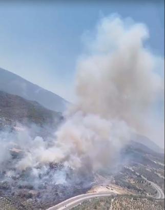 Muğla'da tarım arazisinde yangın