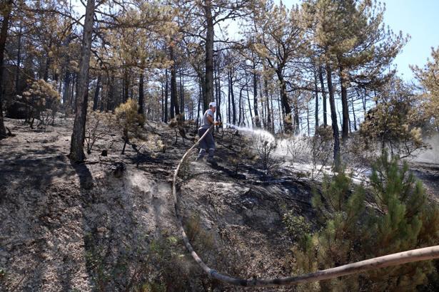 Eskişehir'de çıkıp, Afyonkarahisar'a sıçrayan yangın kontrol altında