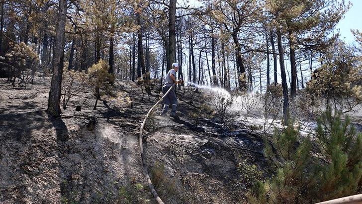 Eskişehir'de çıkıp, Afyonkarahisar'a sıçrayan yangın kontrol altında