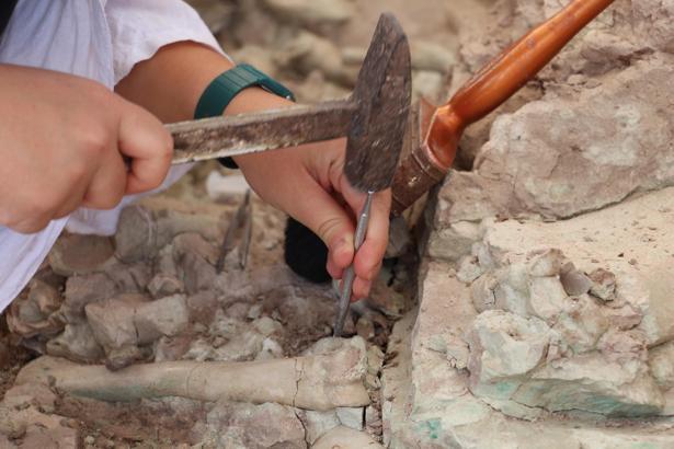 Çankırı'da Çorakyerler Omurgalı Fosil Lokalitesi'nde 2025 kazıları başladı