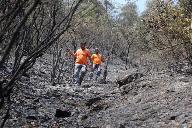 Sakarya'da yangınlardan etkilenen can dostlar için seferberlik