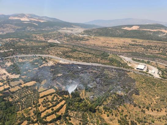 Muğla'da tarım arazisinde yangın (2)