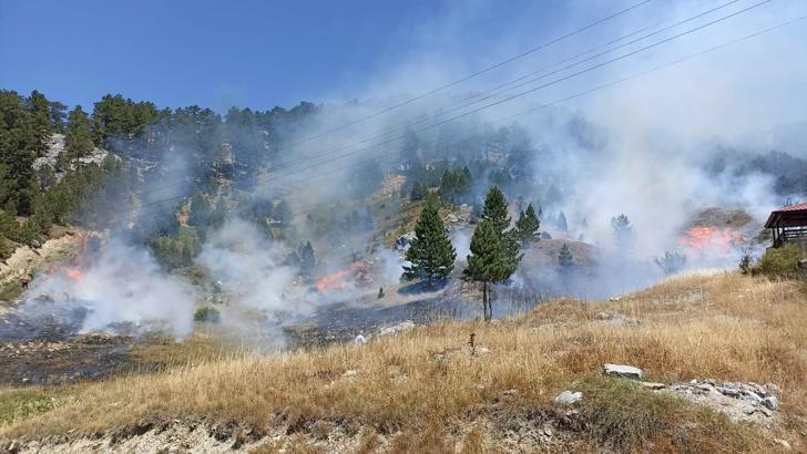 Antalya'da 4 orman yangın kontrol altında, 2'sine müdahale sürüyor (9)