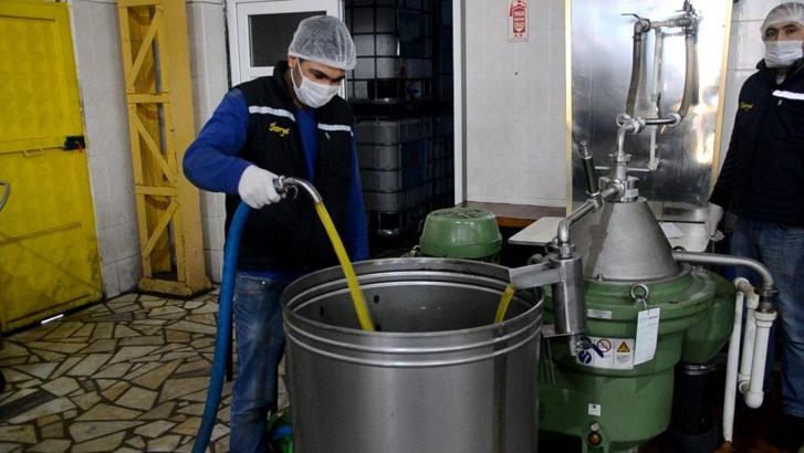 Mut zeytinyağı, AB'li oldu