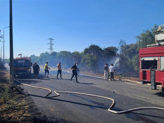 Yol kenarındaki ağaçlıkta çıkan yangın söndürüldü