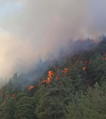 Denizli'de orman yangını