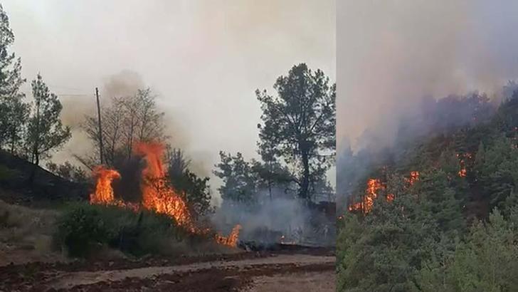 Denizli'de orman yangını