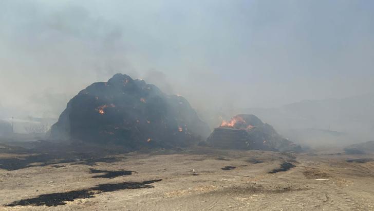 Aydın'daki ot yangını hayvan çiftliğine sıçradı; kontrol altında