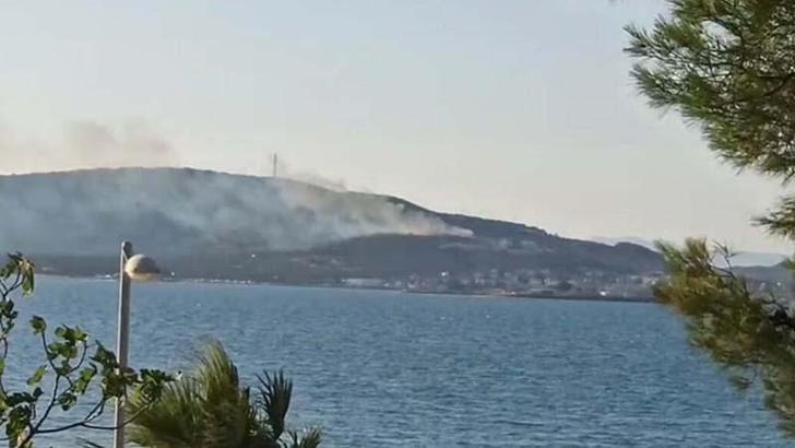 Cunda Adası’nda orman yangını