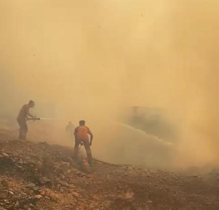 Akhisar'da orman yangını