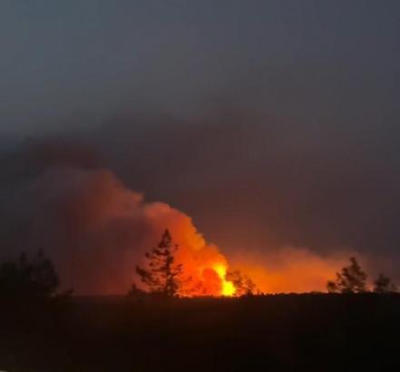 Silifke’de orman yangını