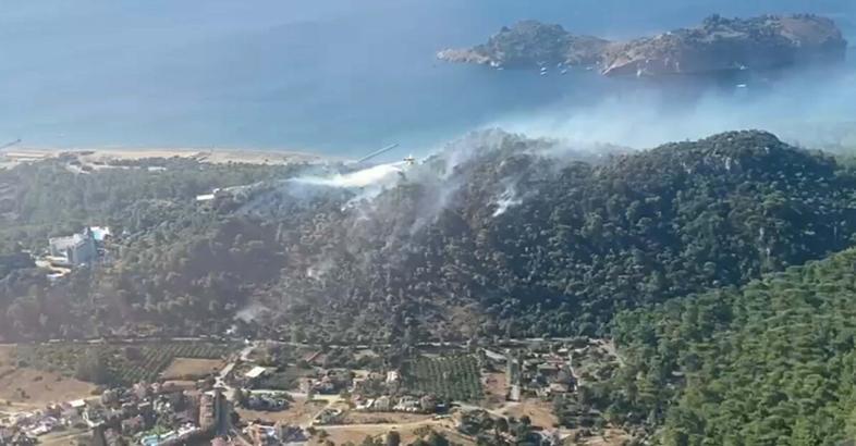 Muğla’da orman yangını