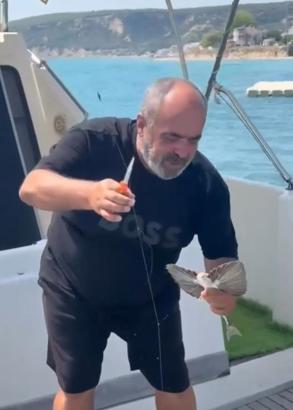 Saros'ta nadir görülen kırlangıç balığı oltaya takıldı