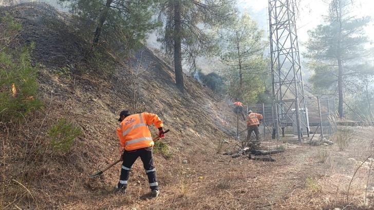 TCDD ekipleri, Bilecik–Osmaneli hattında demiryolu altyapısına kadar ilerleyen alevlerin kontrol altına alındığını aktardı