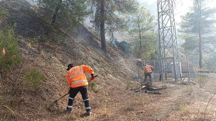 TCDD ekipleri, Bilecik–Osmaneli hattında demiryolu altyapısına kadar ilerleyen alevlerin kontrol altına alındığını aktardı