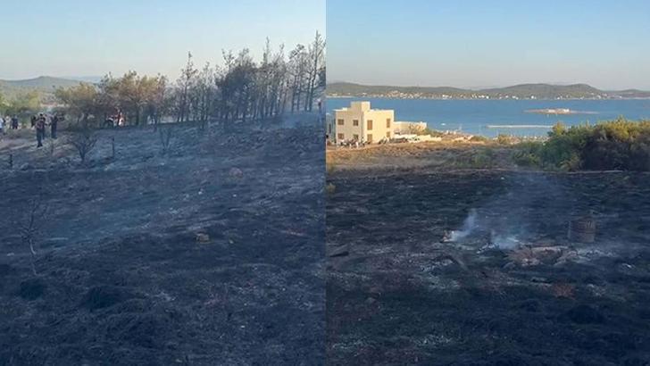 Balıkesir'deki orman yangını 1 saatte kontrol altına alındı