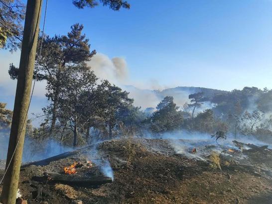 Akhisar'daki orman yangını, 18 saatte kontrol altına alındı