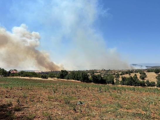 Uşak'ta meşelik yangını 16 saat sonra kontrol altında