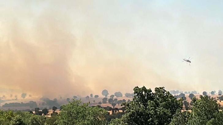 Uşak'ta meşelik yangını 16 saat sonra kontrol altında