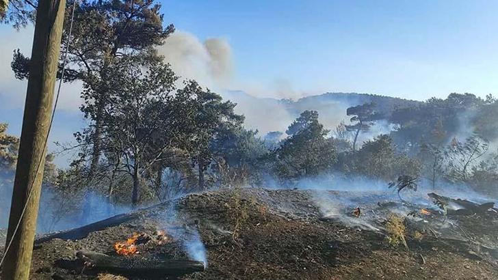 Akhisar'daki orman yangını, 18 saatte kontrol altına alındı