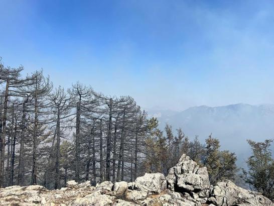 Antalya'da 2 orman yangını sürüyor; 1'i kontrol altında (2)